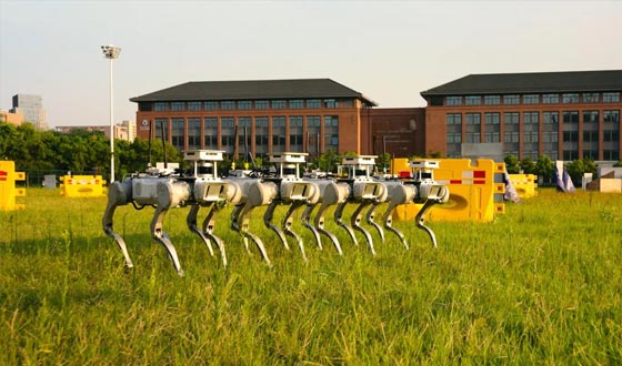 全球范围内首次实现机器狗自主集群，未知环境协同搜索